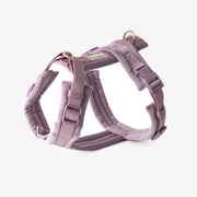 Harnais lilas