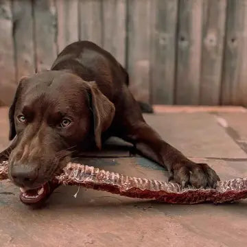 Trachées de bœuf pour chien 30 cm