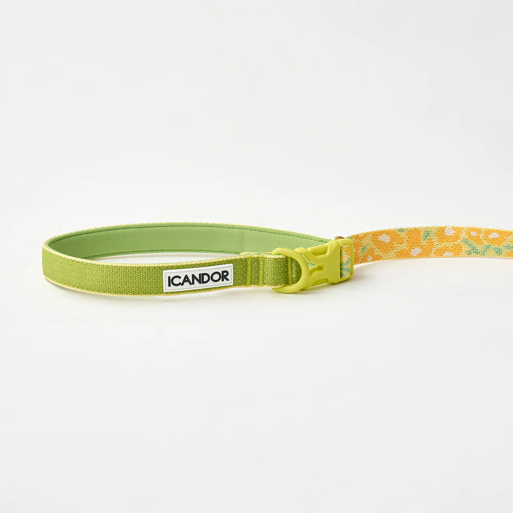 Laisse multi-positions Gentle Leash Bolt Long Big Fish