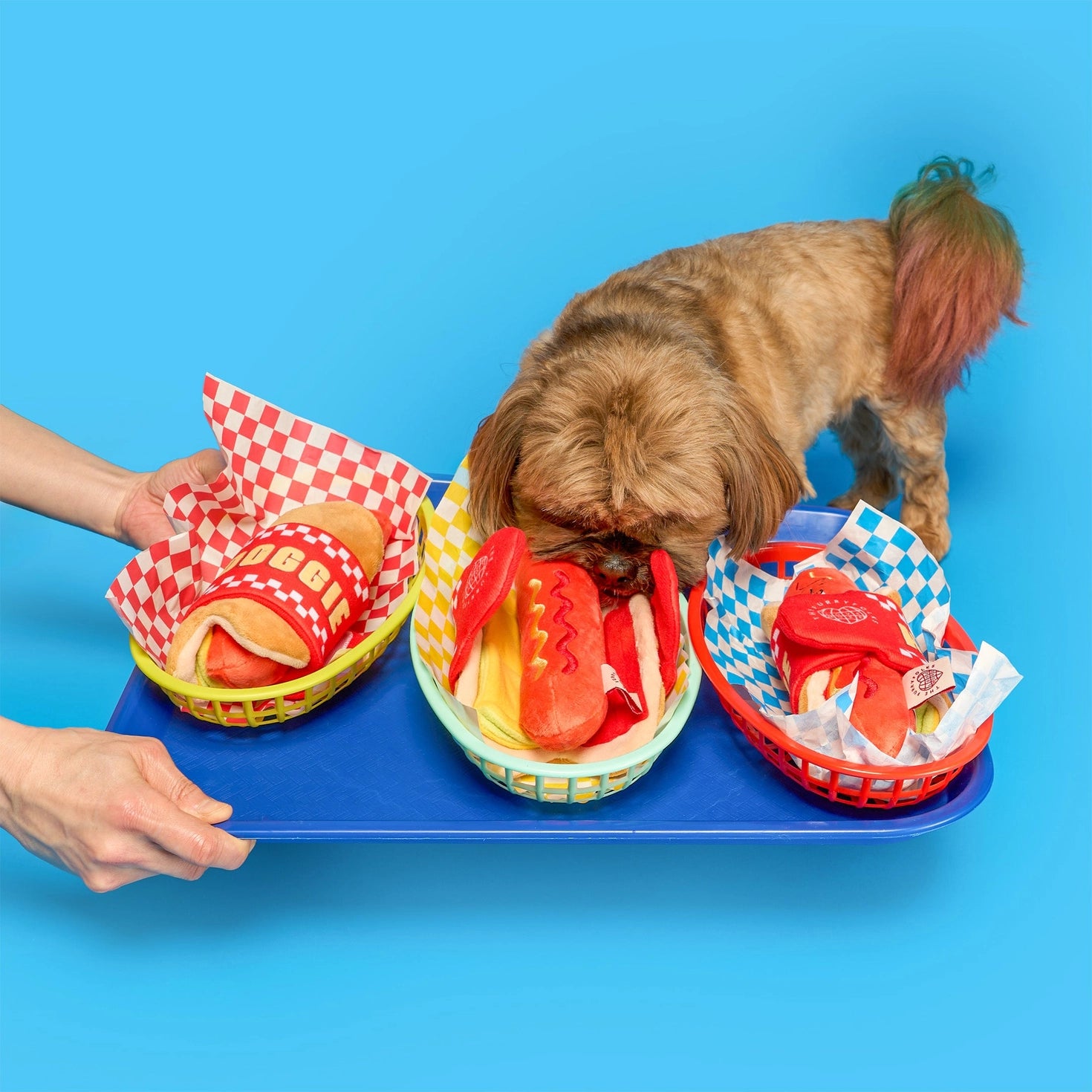 Jouet de Fouille Hot Doggie