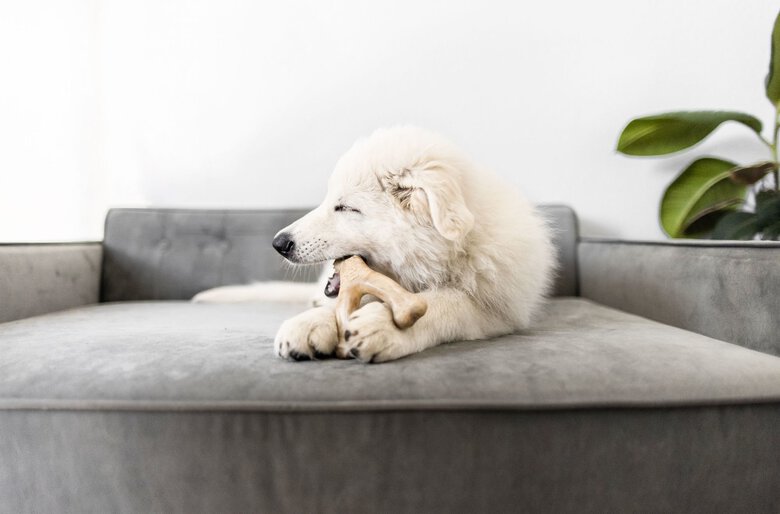 Jouet Os à Mâcher Wishbone Poulet