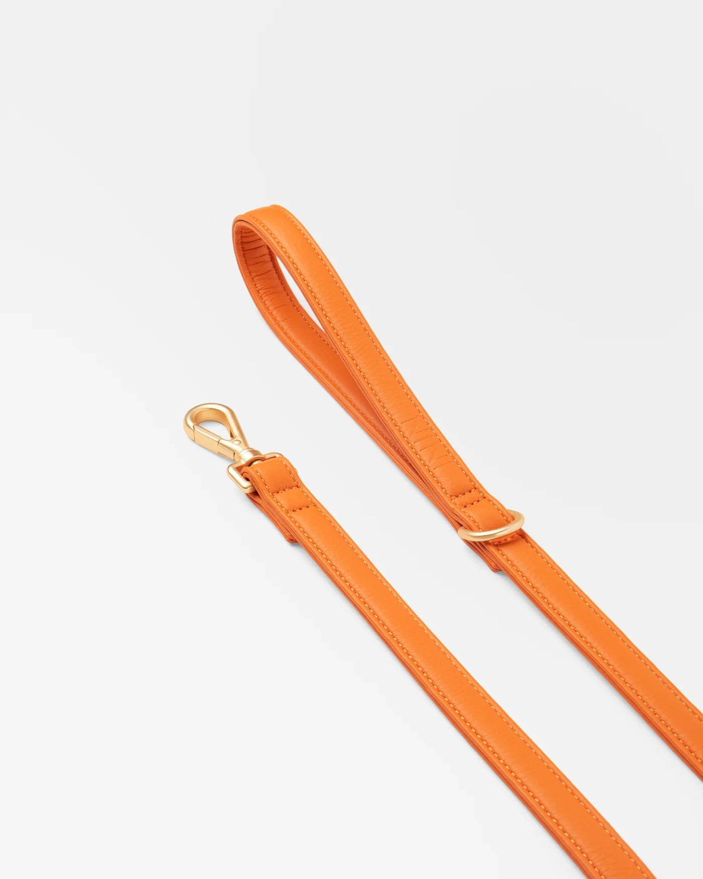 Laisse classique Orange résistante à l'eau
