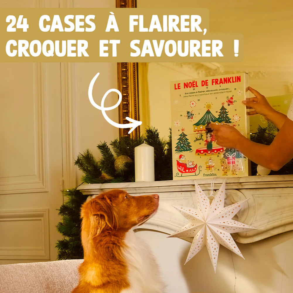 Calendrier de l'Avent Noël 25