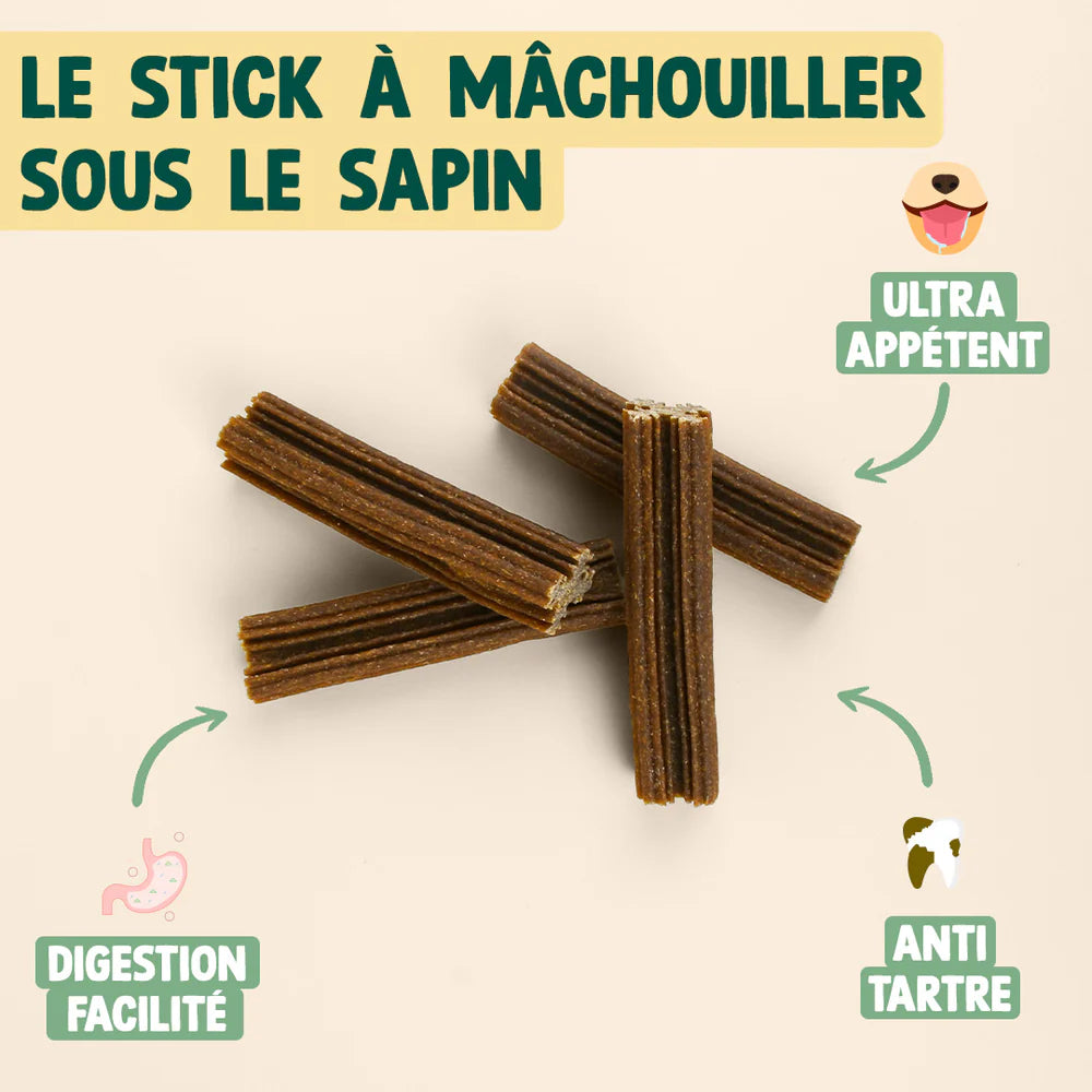 Sticks dentaires pomme canelle - Edition Noël 25
