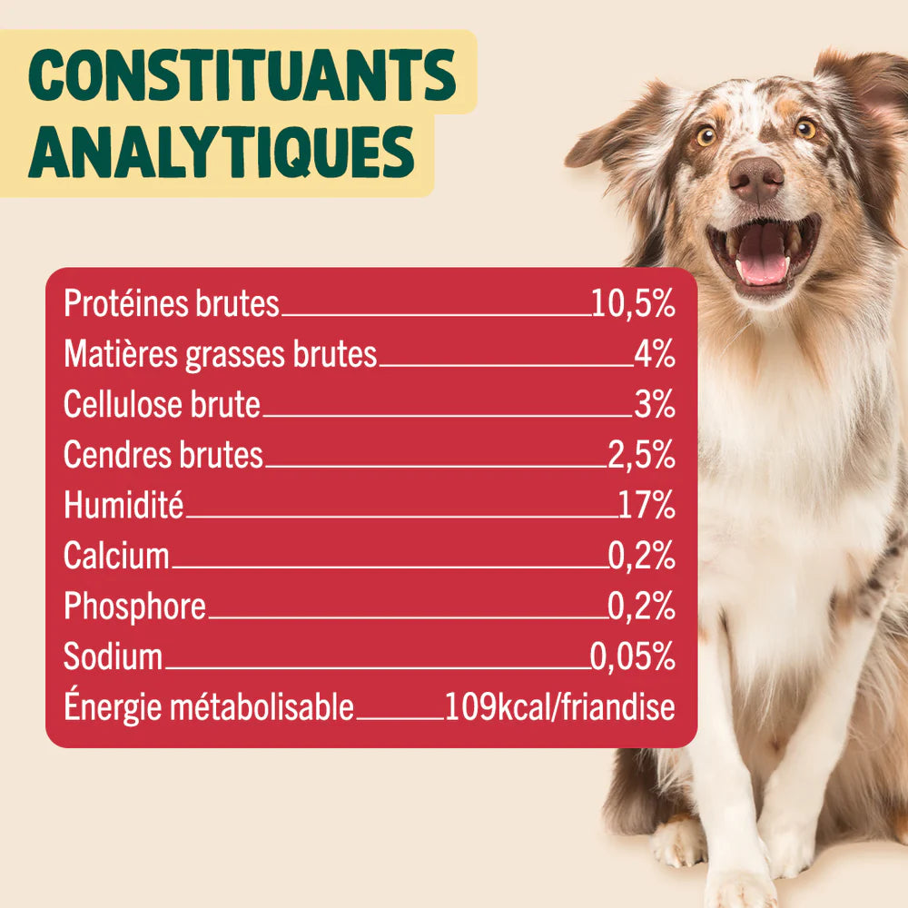 Sticks dentaires pomme canelle - Edition Noël 25