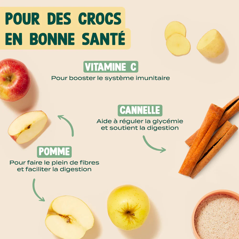 Sticks dentaires pomme canelle - Edition Noël 25