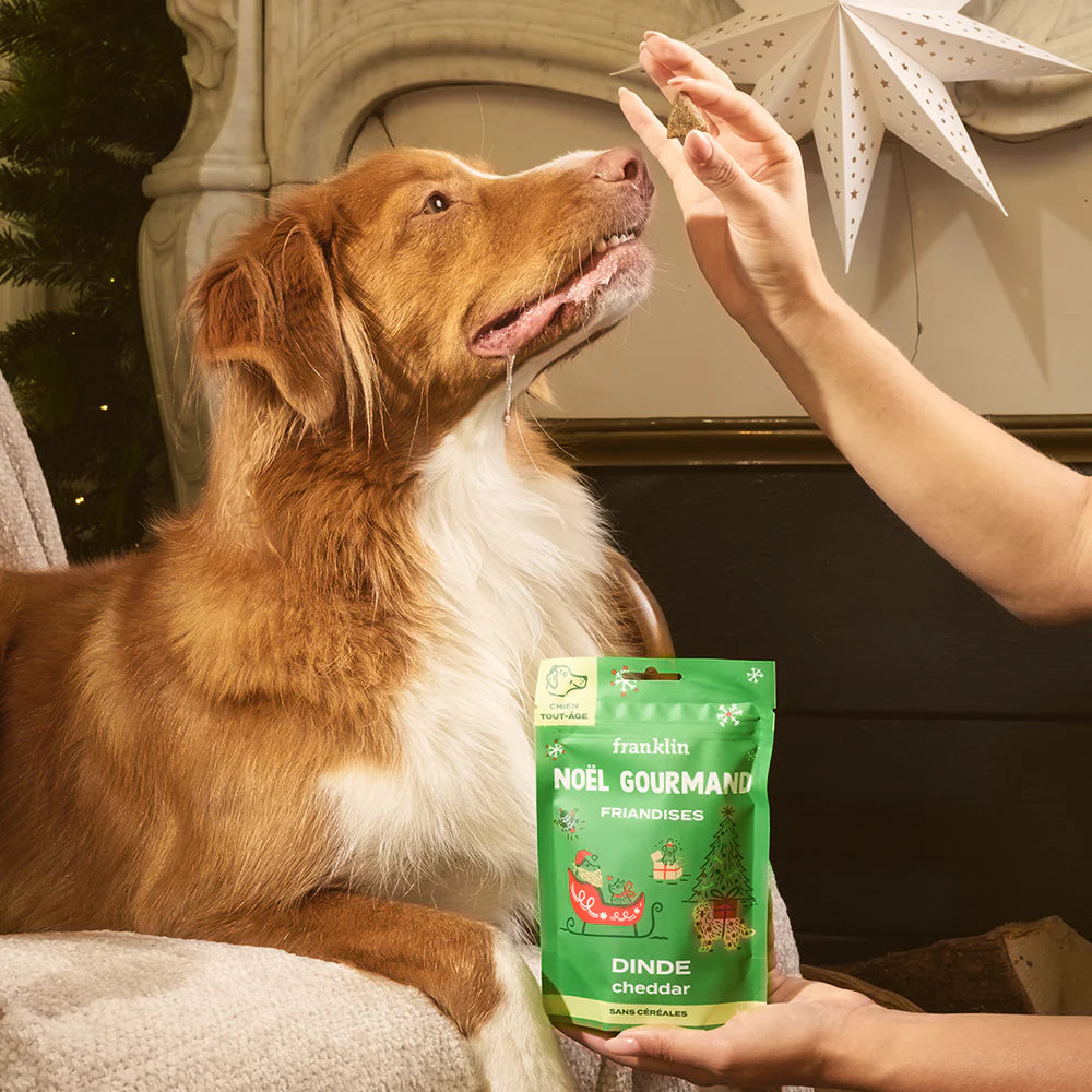 Friandises Noël gourmand dinde cheddar