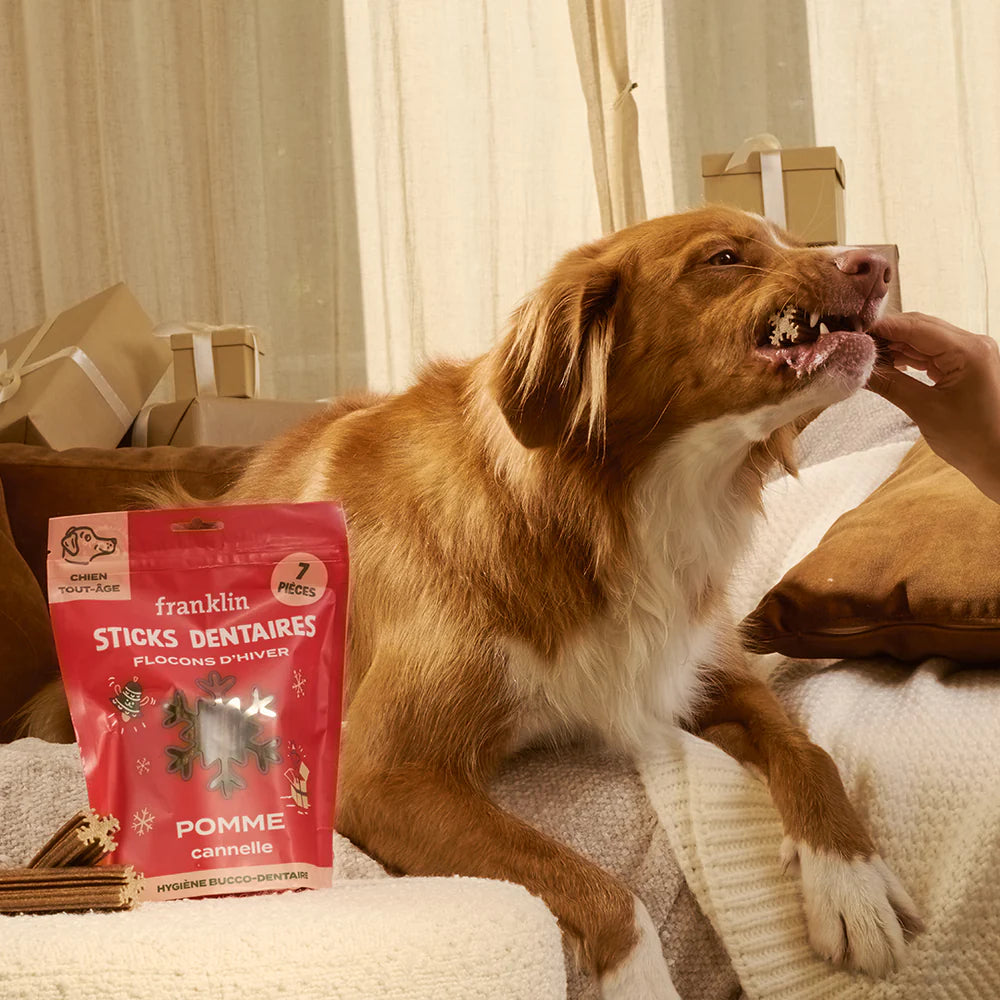 Sticks dentaires pomme canelle - Edition Noël 25