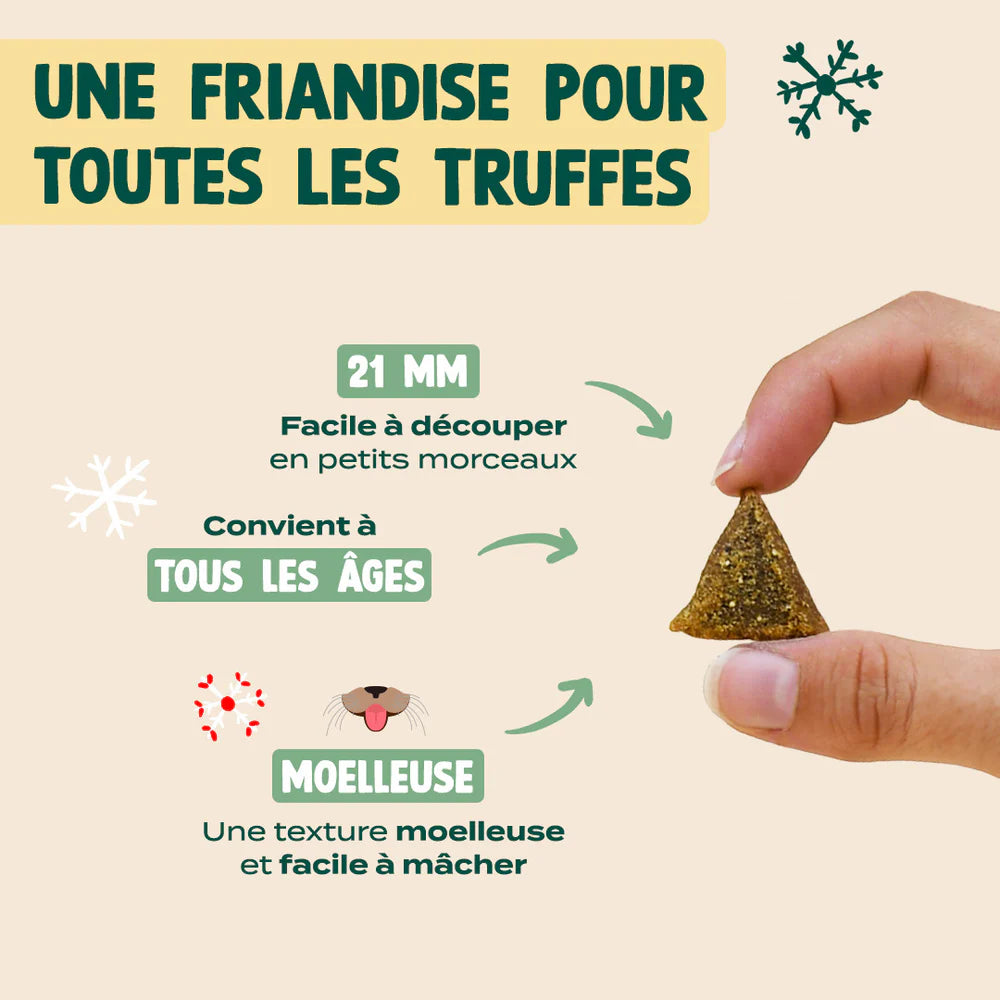 Friandises Noël gourmand dinde cheddar