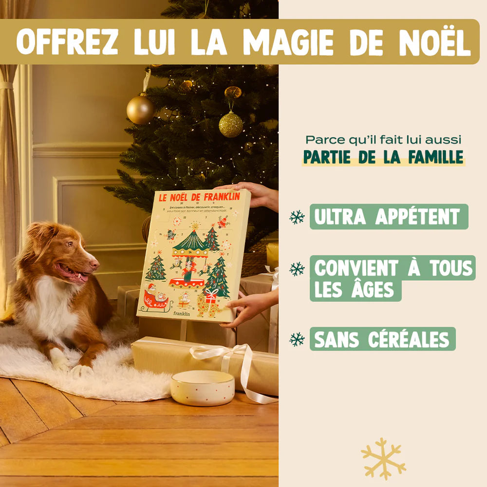 Calendrier de l'Avent Noël 25