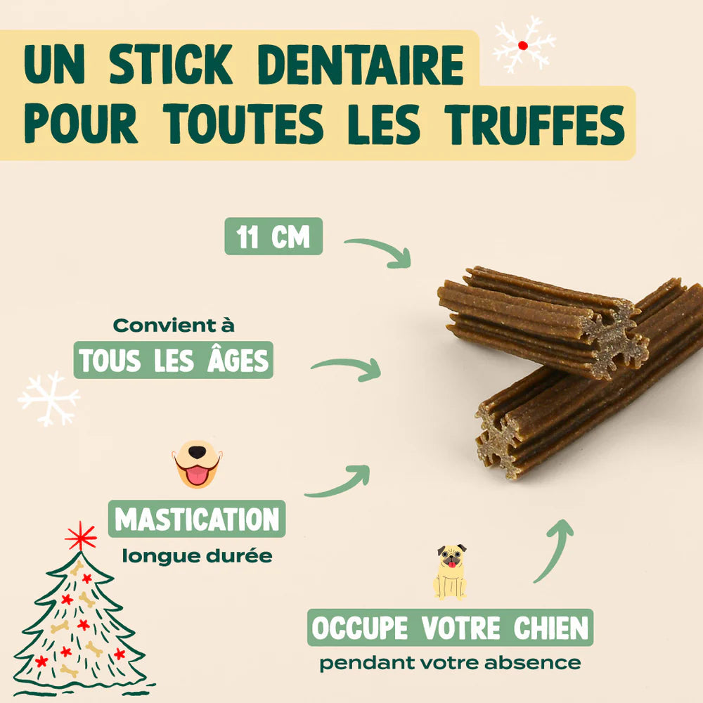 Sticks dentaires pomme canelle - Edition Noël 25