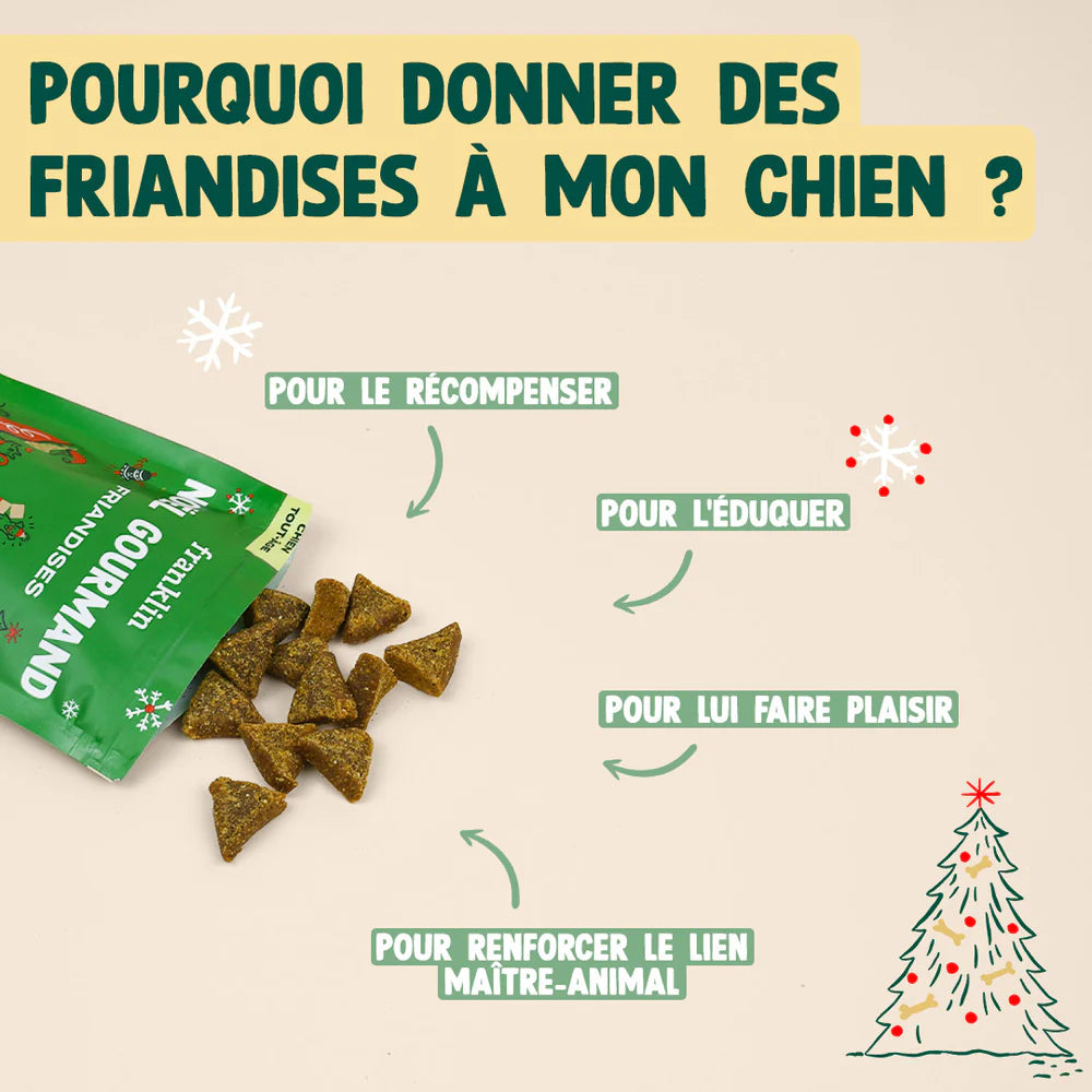 Friandises Noël gourmand dinde cheddar