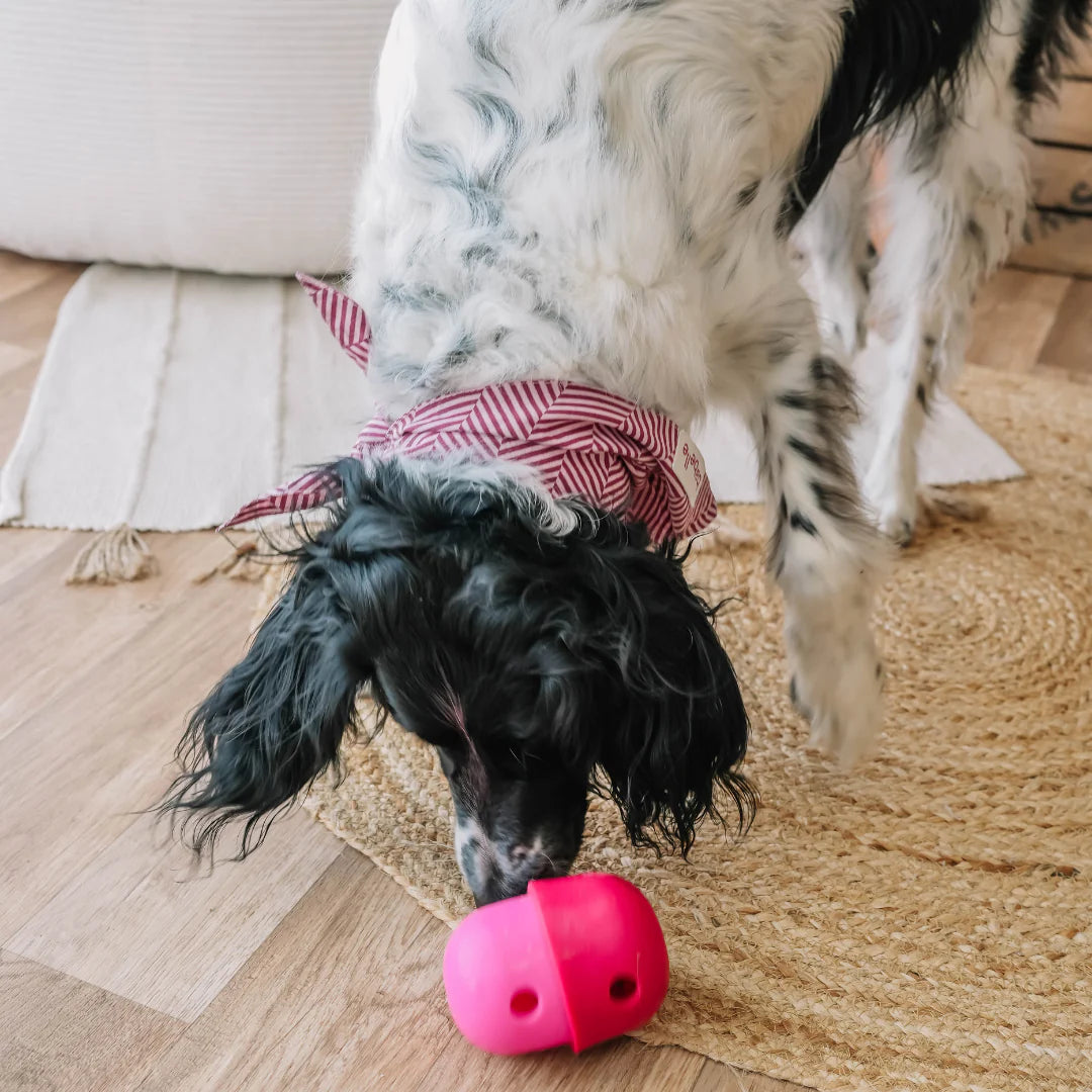 Distributeur de croquettes The Fun Feeder