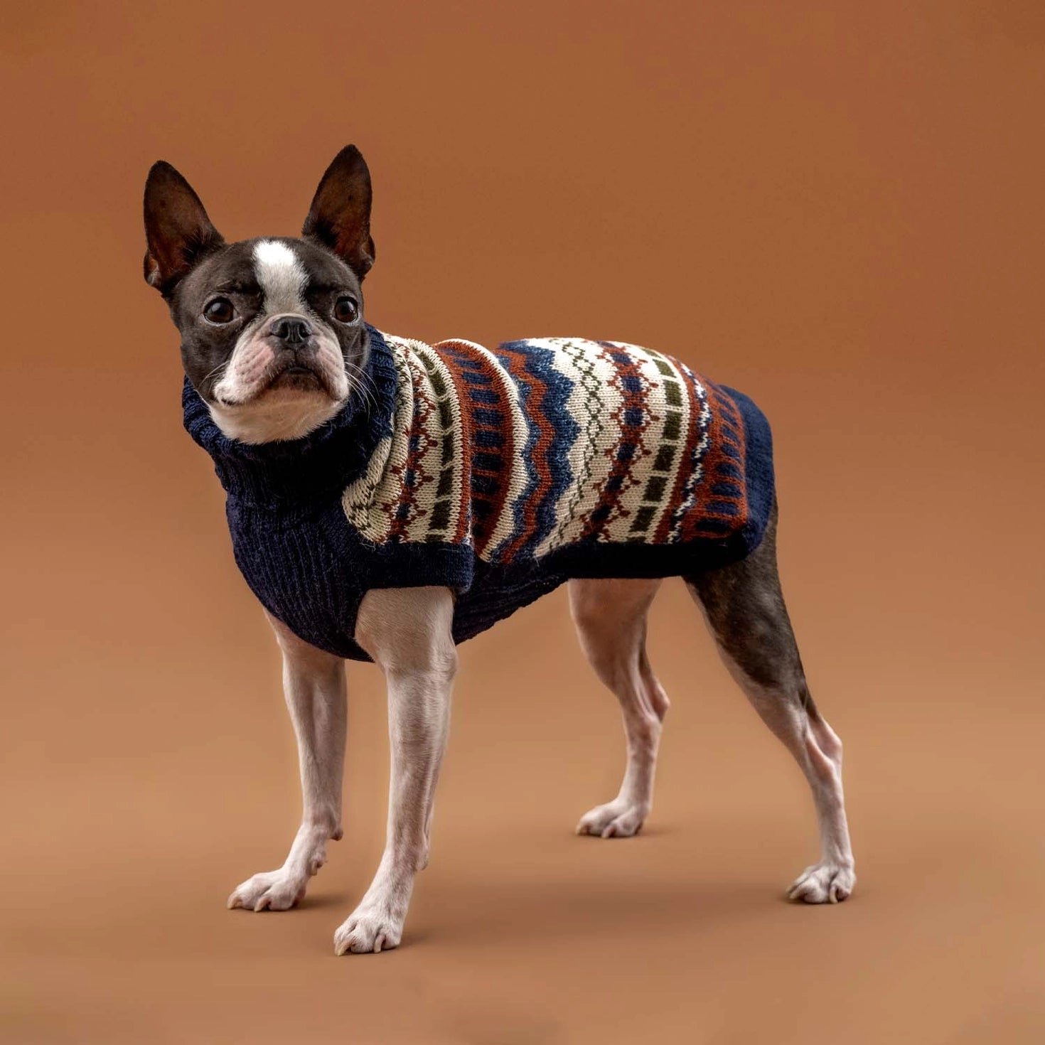 Pull pour chien en alpaga Iceberg