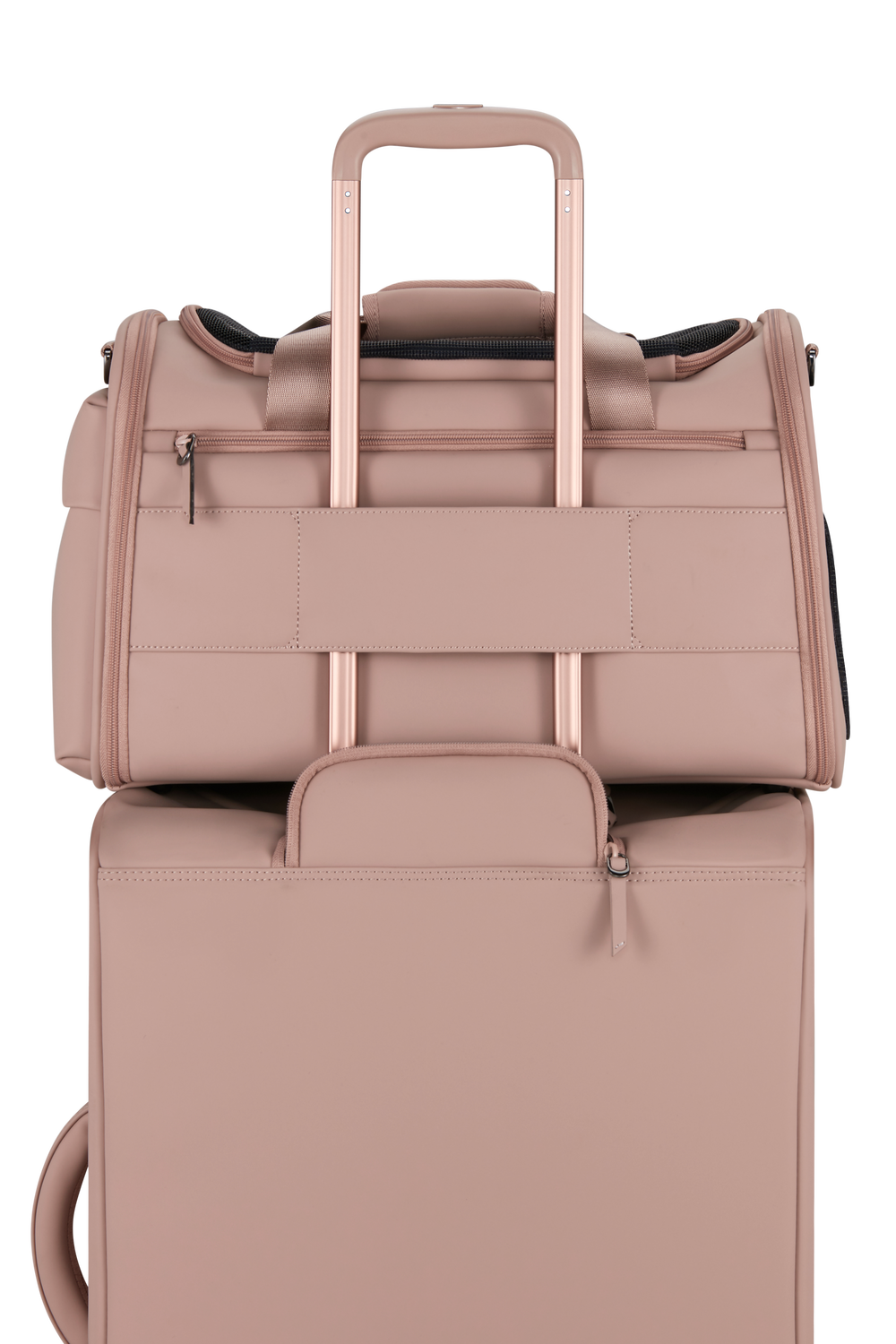 Sac de transport pour chien Lost in Berlin