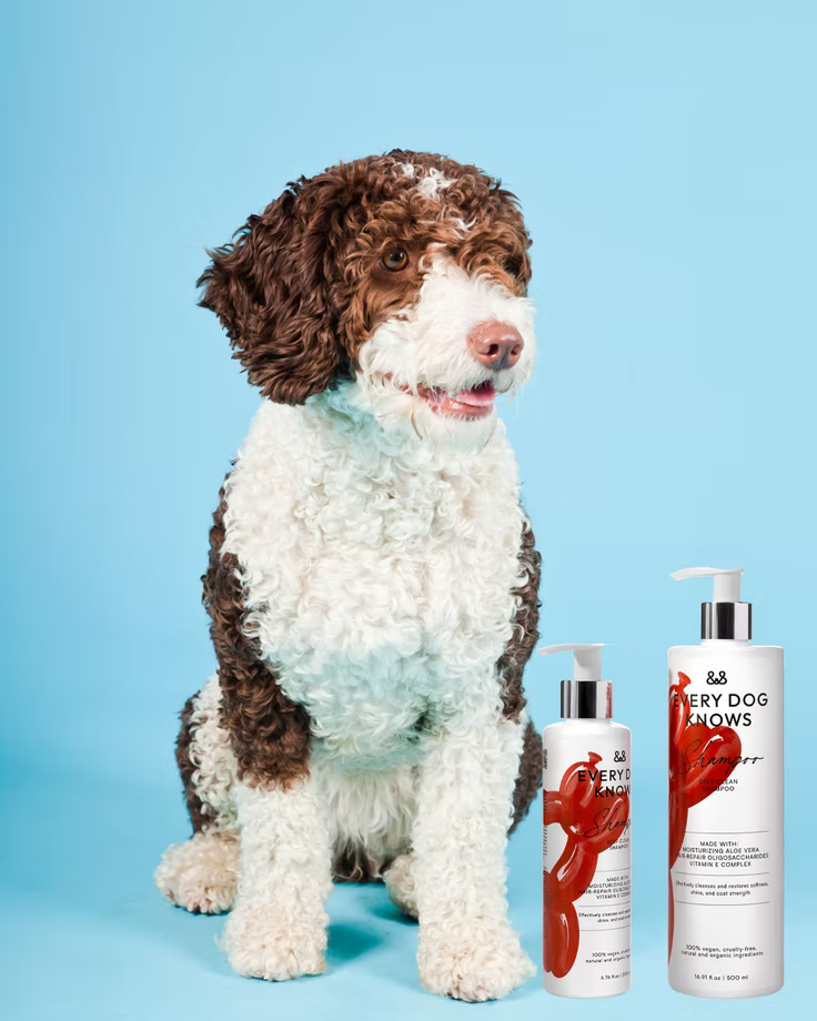 Shampoing Deep Clean