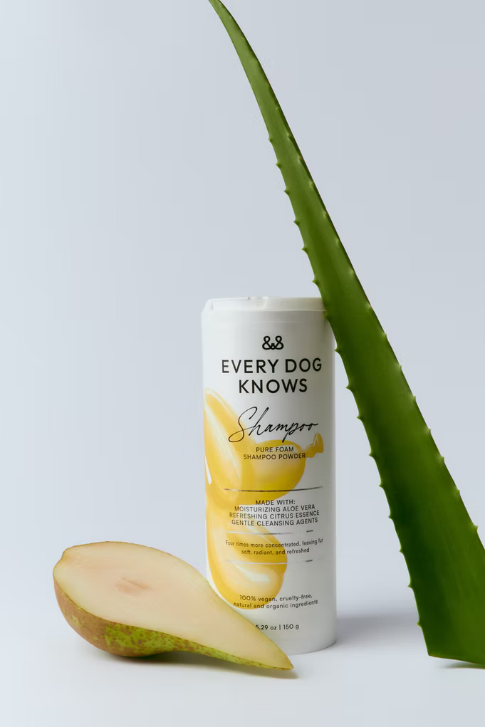 Shampoing en poudre Pure Foam