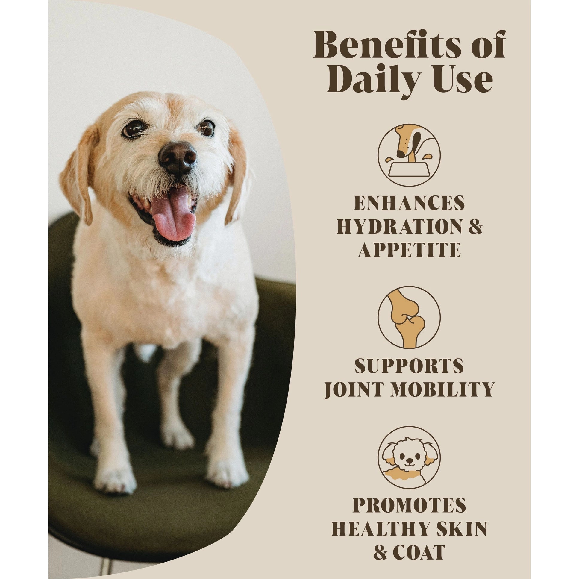 Bouillon d'os de poulet