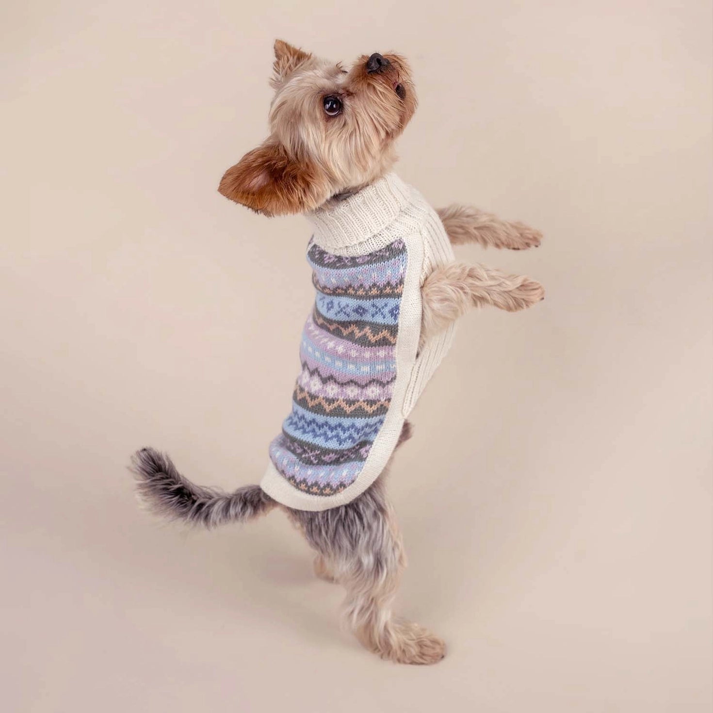 Pull pour chien en alpaga Cloudform
