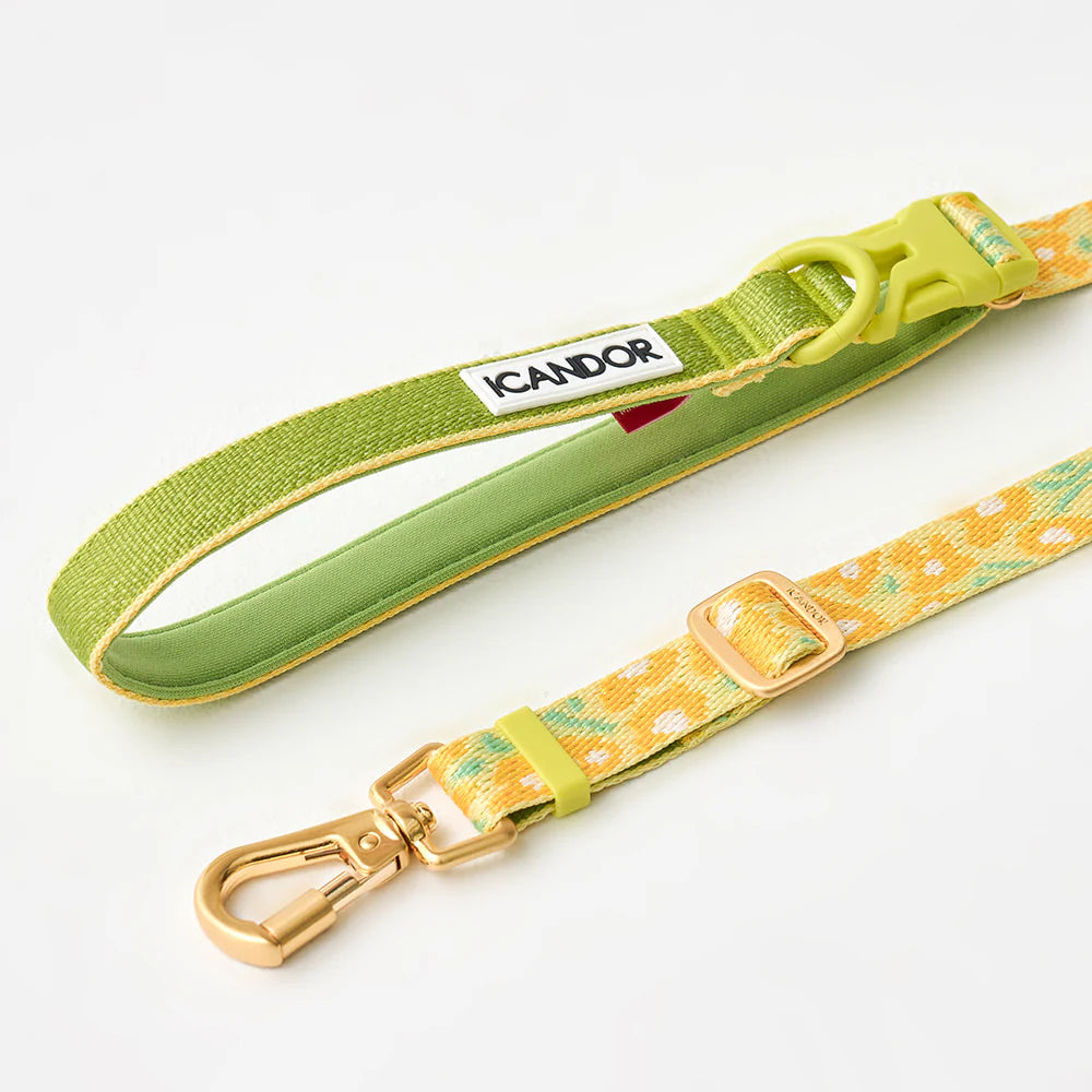 Laisse multi-positions Gentle Leash Bolt Long Big Fish