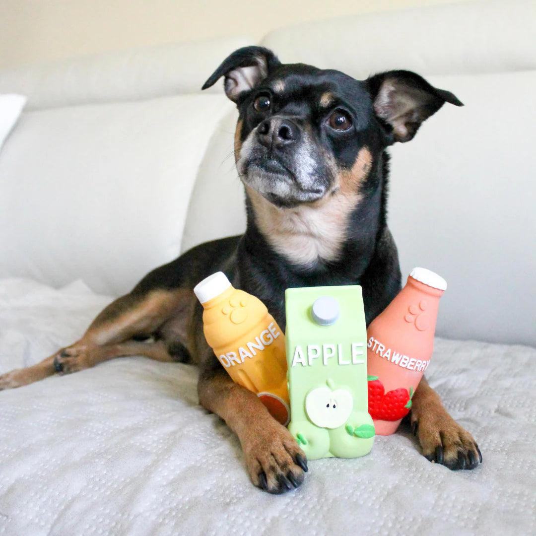 Jouet en caoutchouc jus d'orange