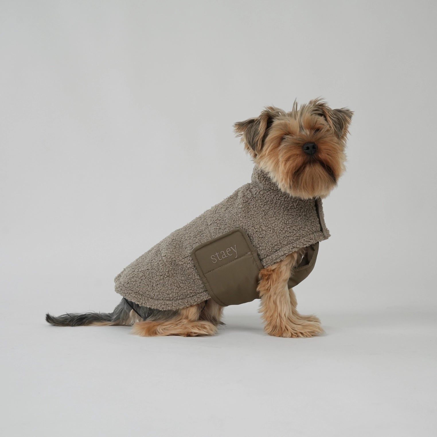 Manteau pour chien Teddy | Taupe