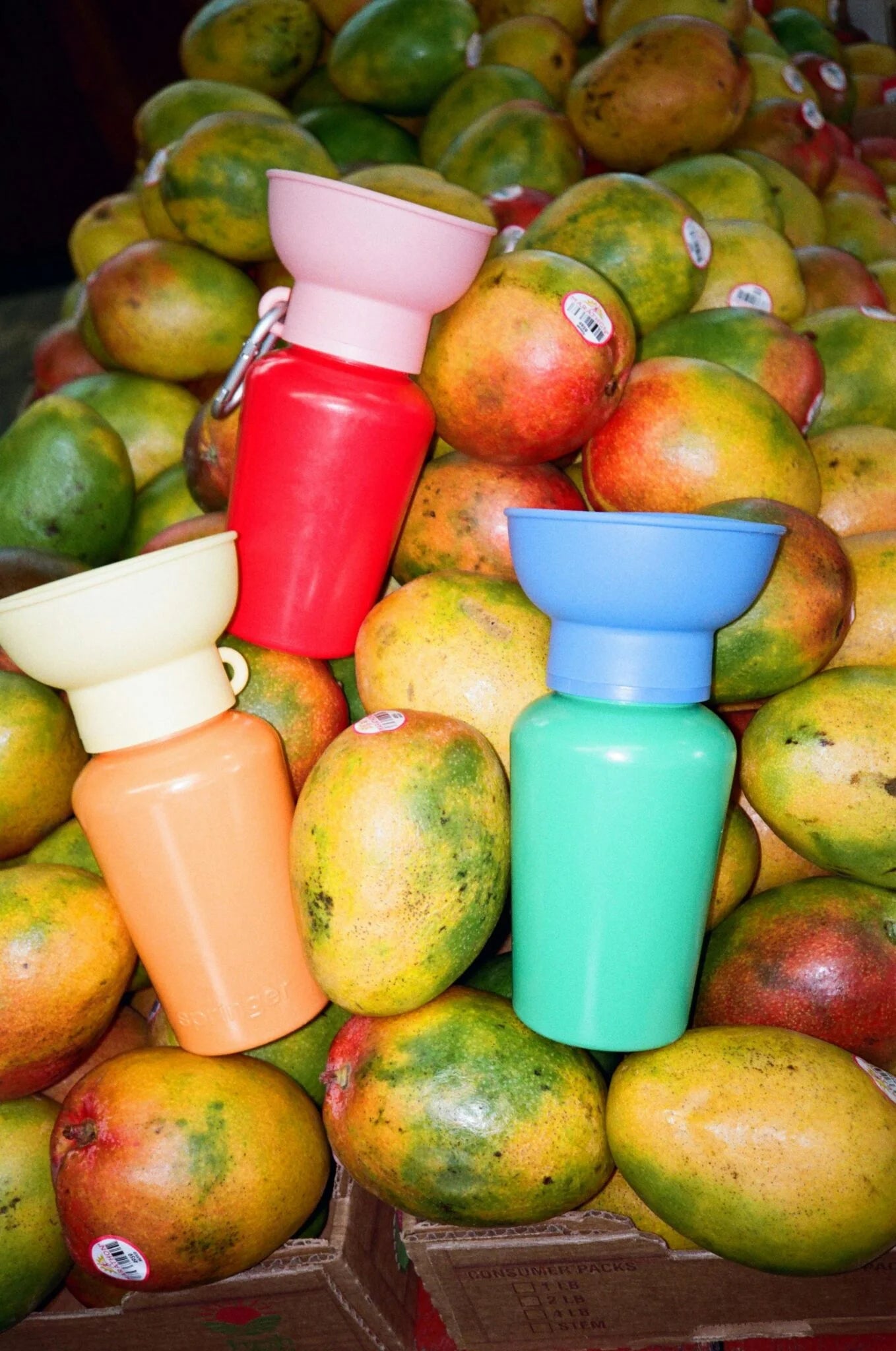 Gourde de voyage bi-colore rétractable