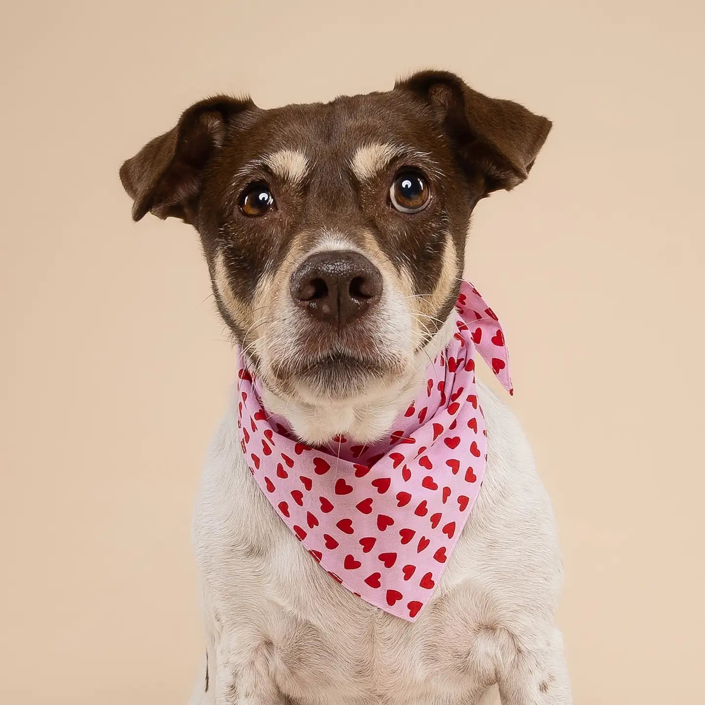 Bandana motif coeur rose