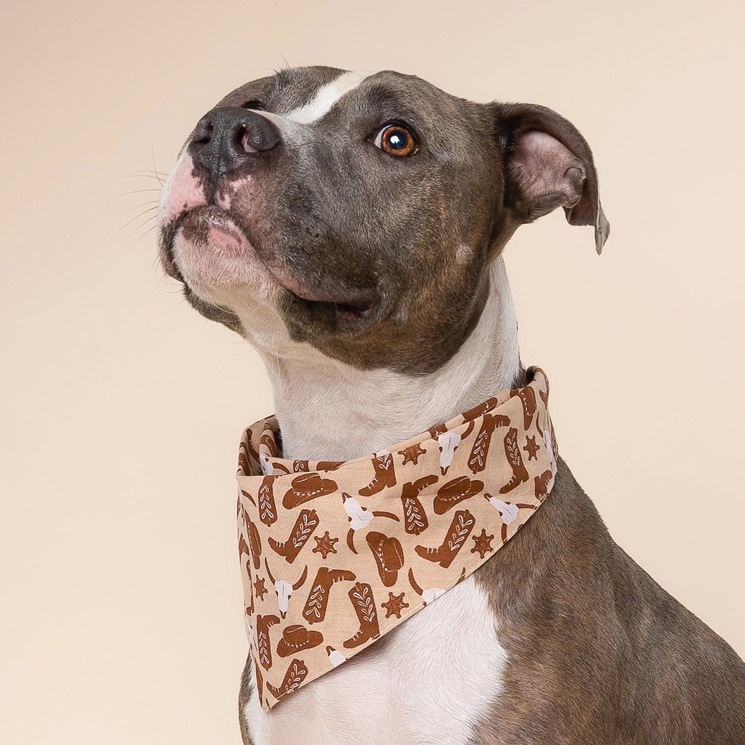 Bandana Far West