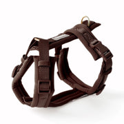 Harnais Comfort Brown
