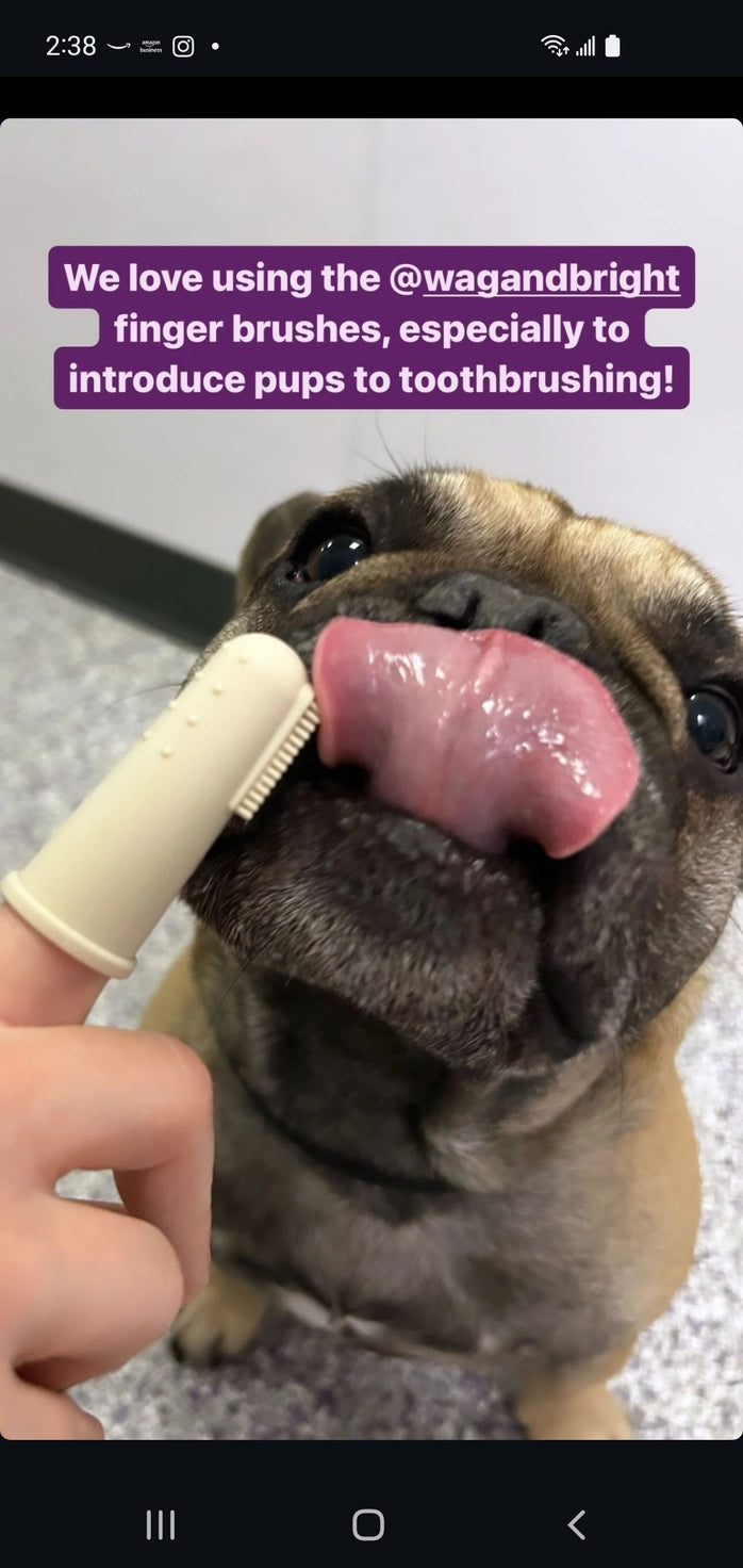 Doigtier en silicone Puppy Polisher (taille unique)