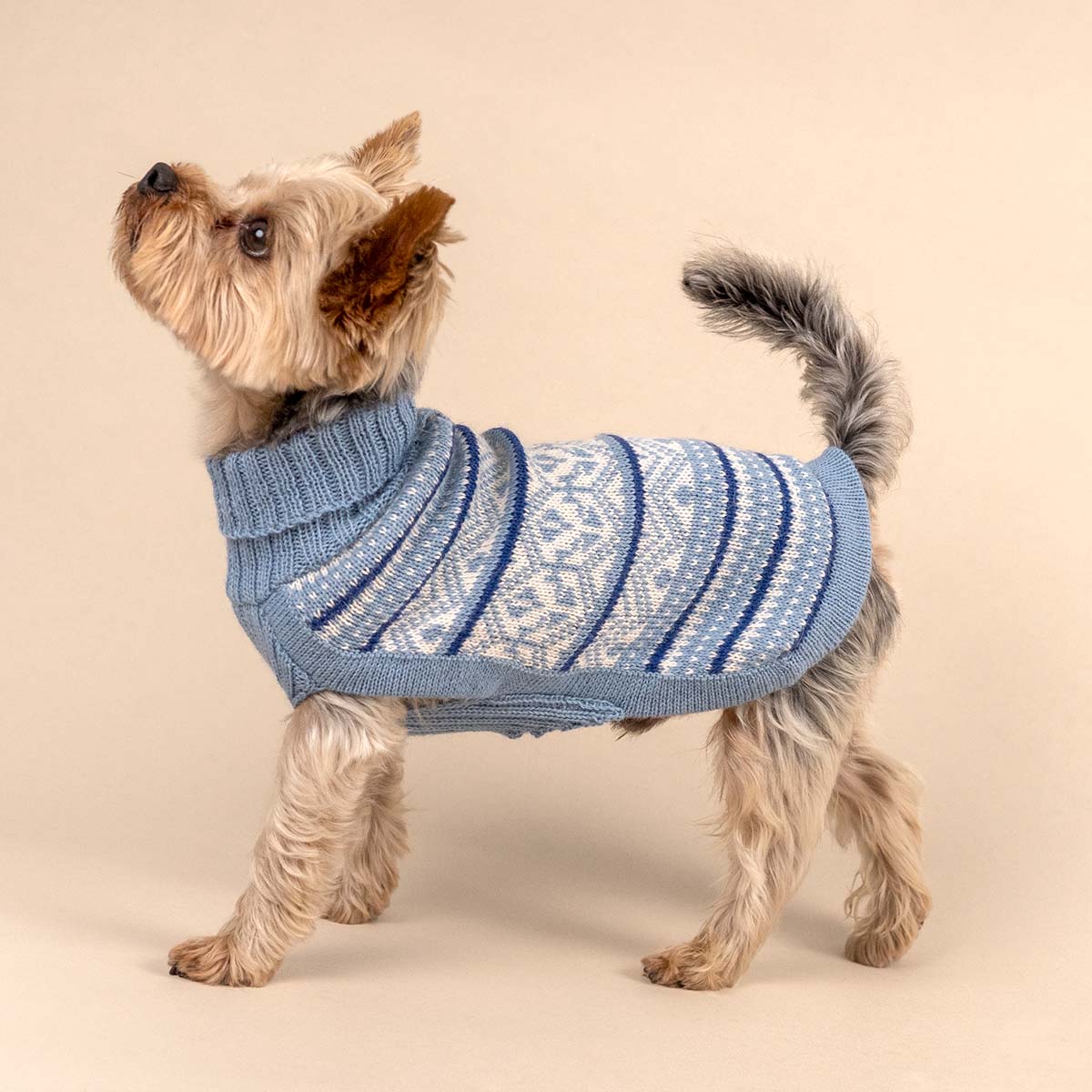 Pull pour chien en alpaga Skyline