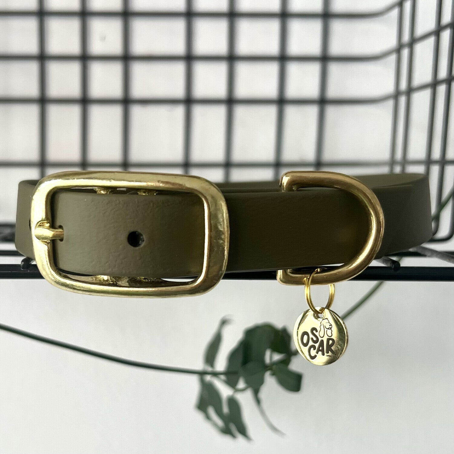 Collier en Biothane kaki