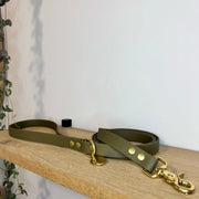 Laisse simple en Biothane kaki