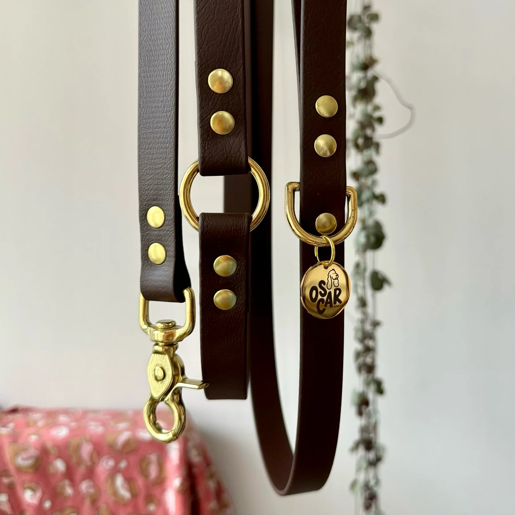 Laisse multi-positions