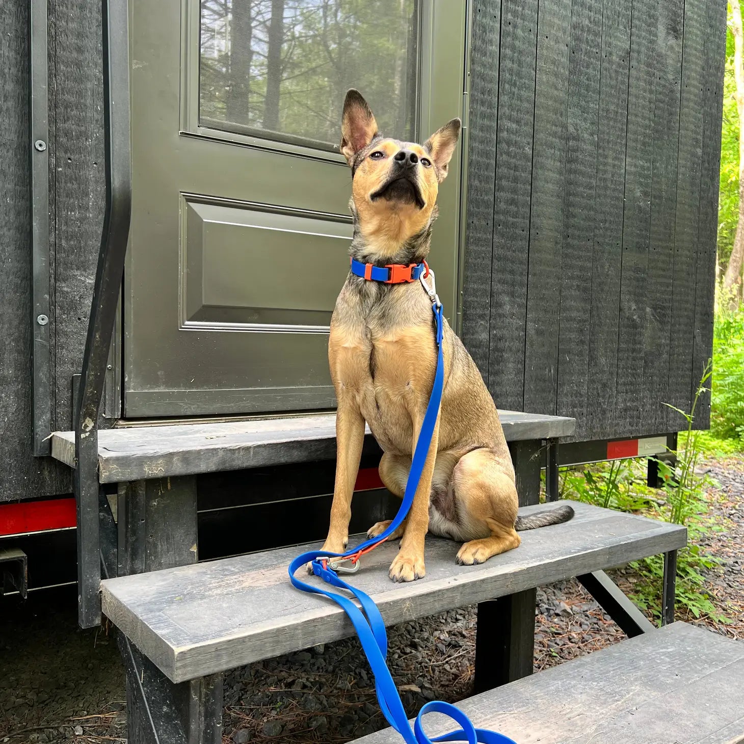 Laisse imperméable Bleu orange