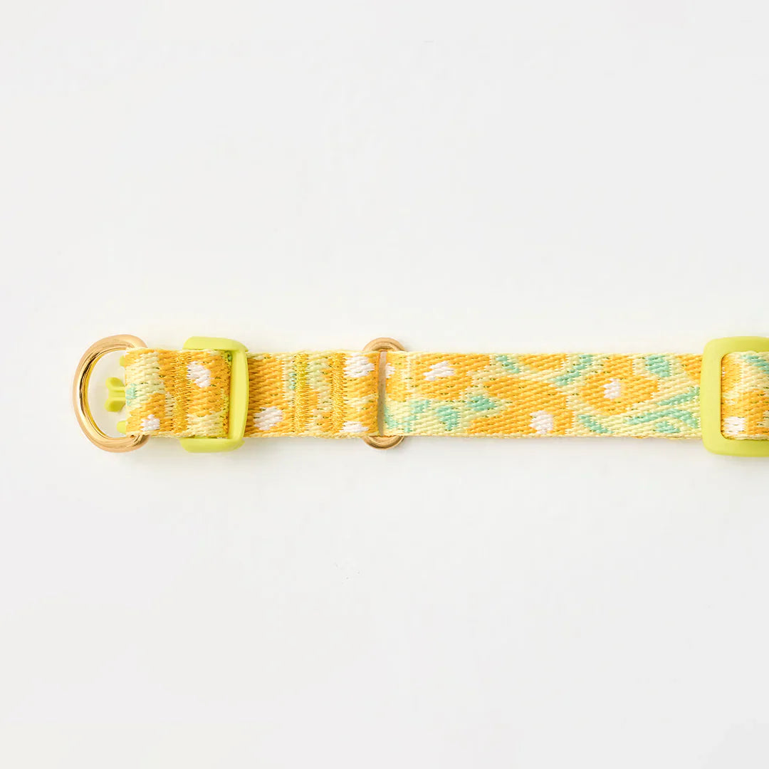 Collier Big Fish à double boucles