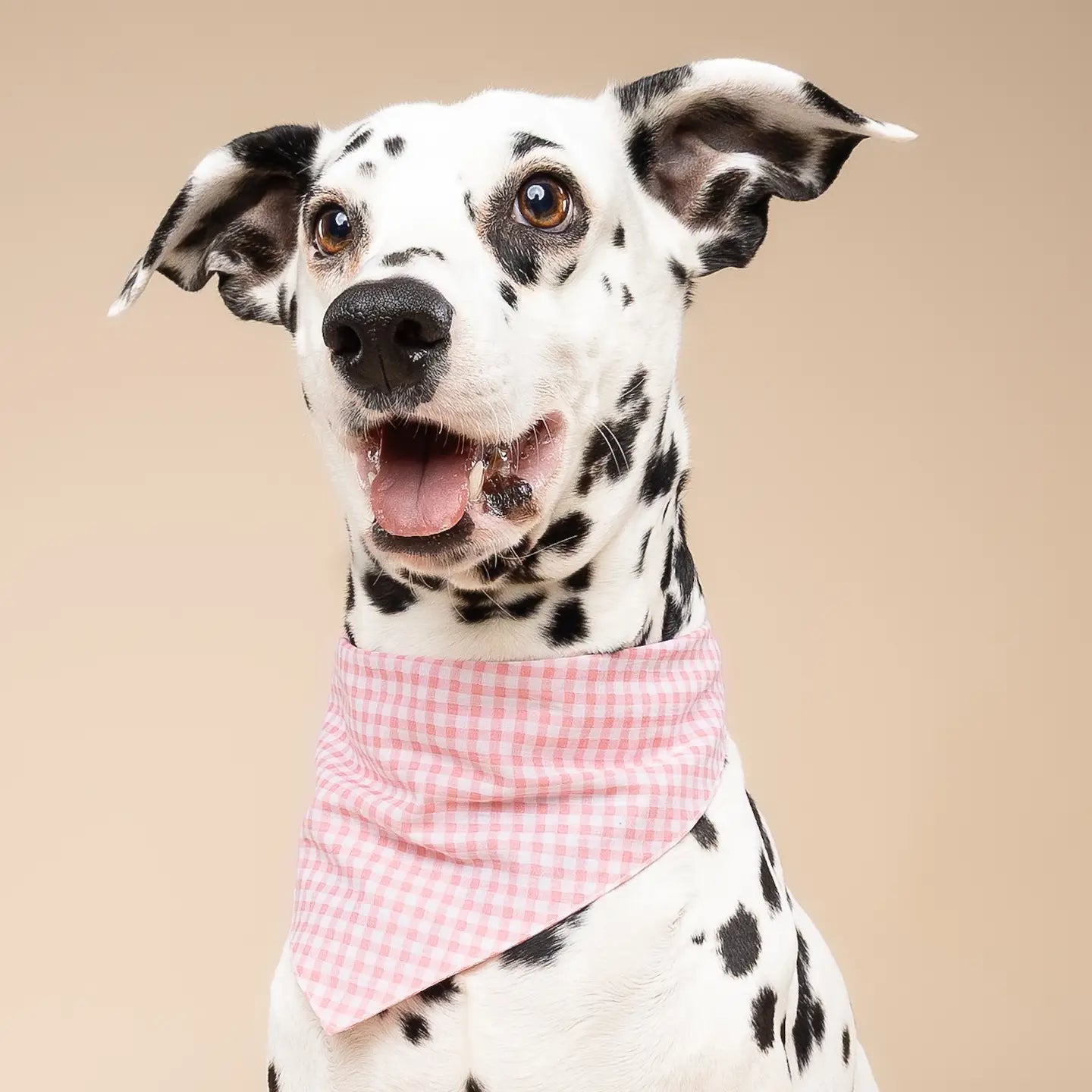 Bandana à carreaux rose