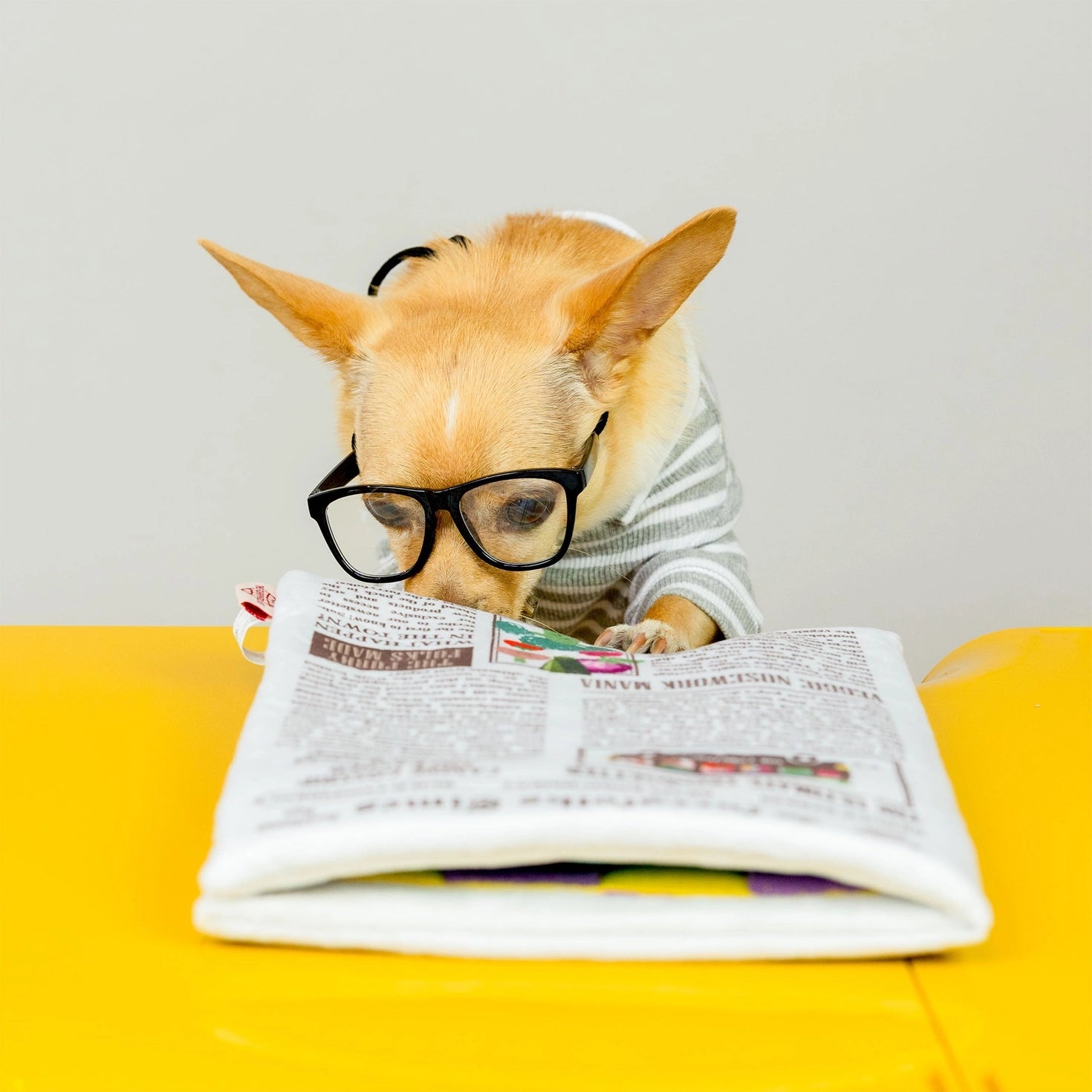 Jouet de fouille The Furryfolks Times