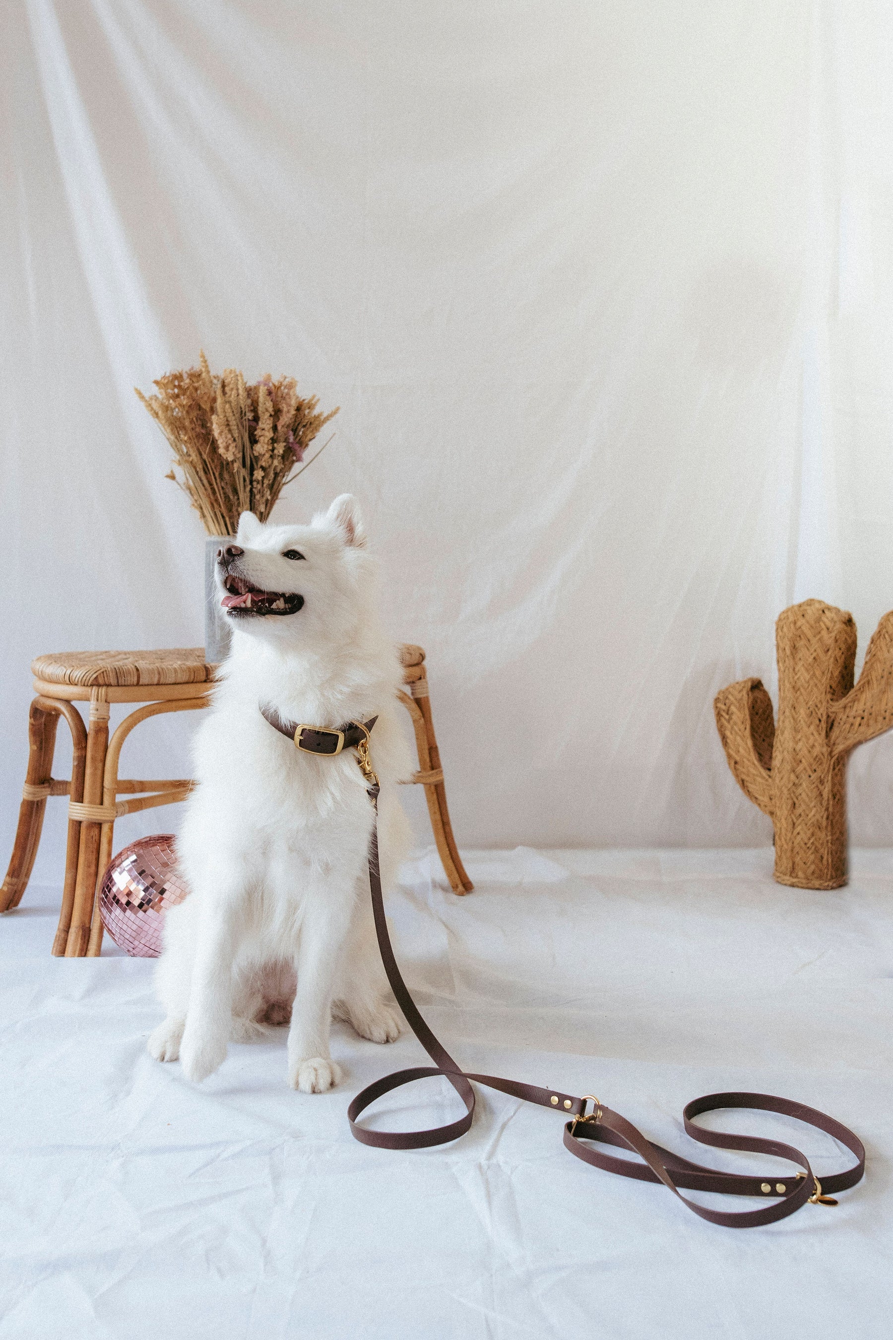 Laisse multi-positions