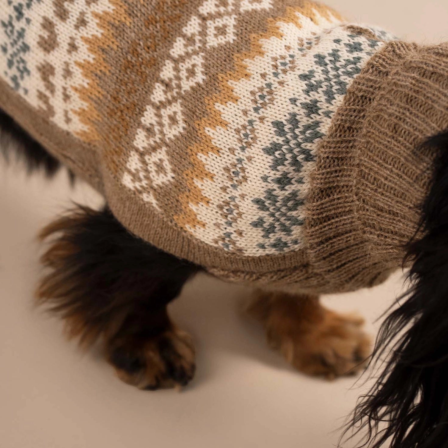 Pull pour chien en alpaga Automne