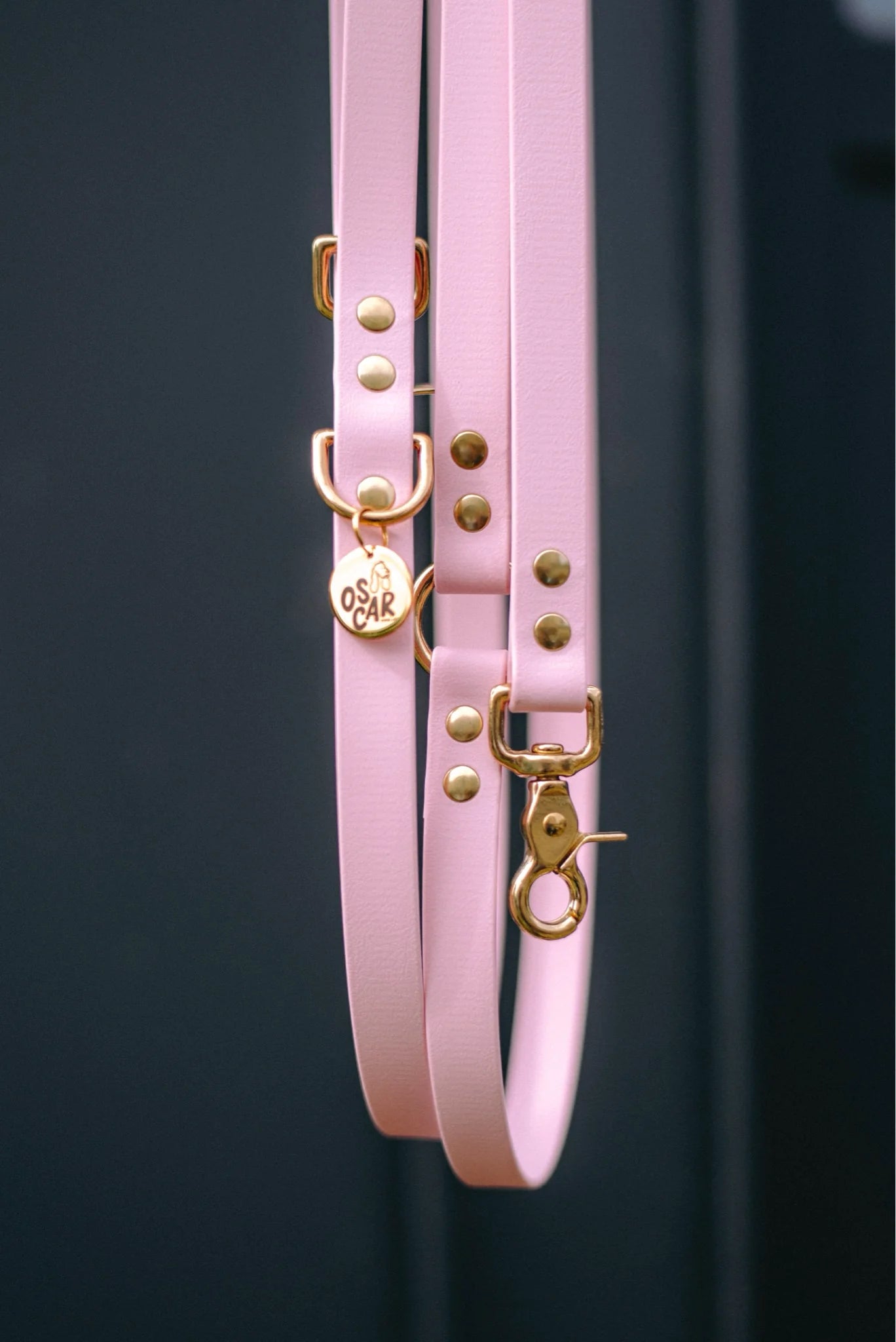 Laisse multi-positions