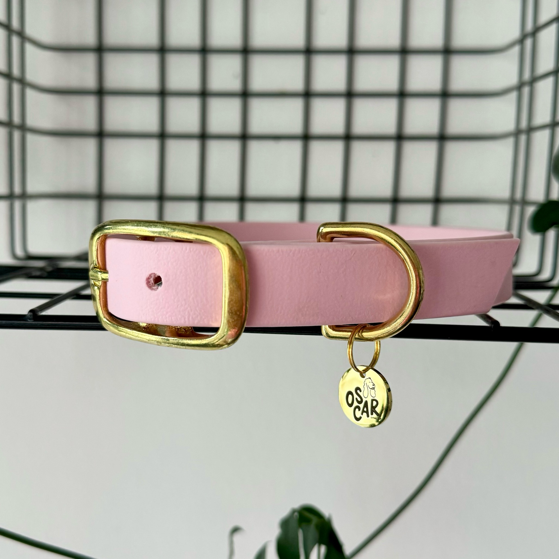 Collier en Biothane rose