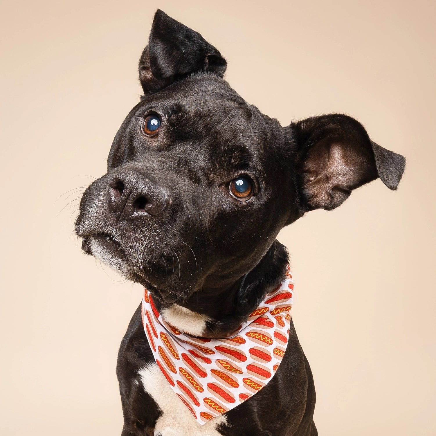 Bandana motif hot dog