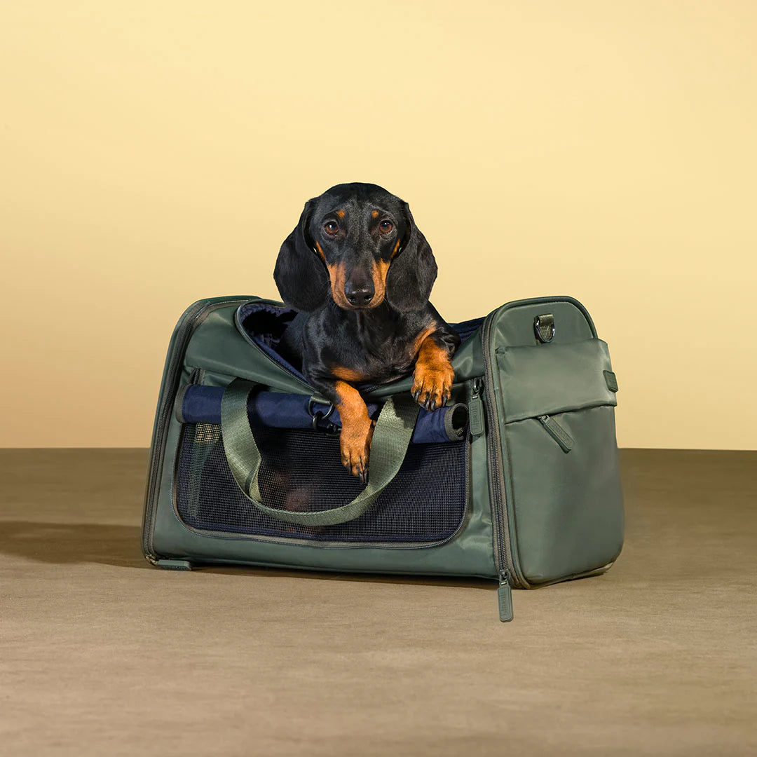 Sac de transport pour chien City Plume