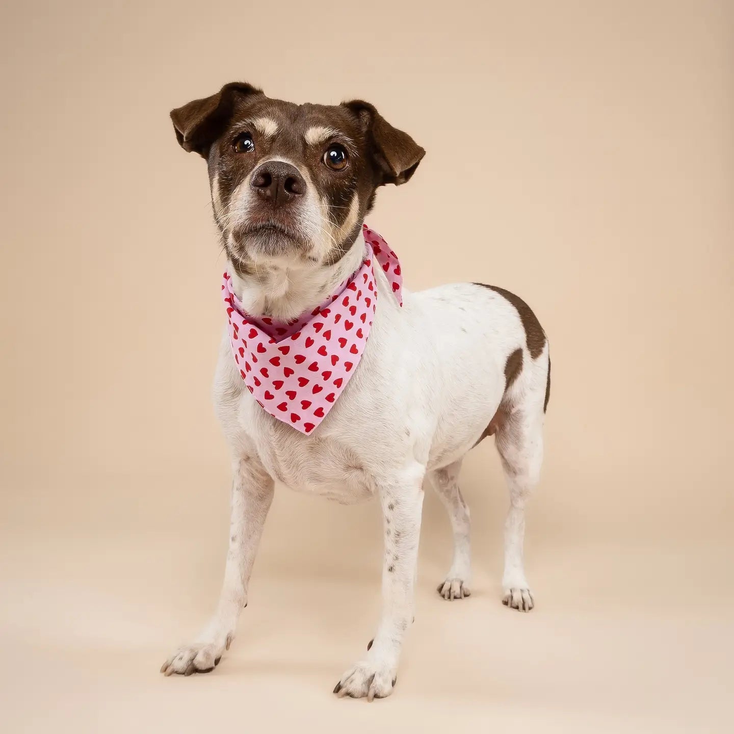 Bandana motif coeur rose
