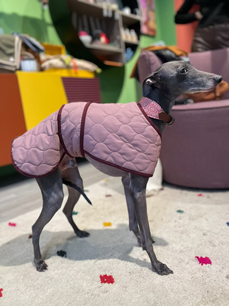 Manteau matelassé Zigzagoo