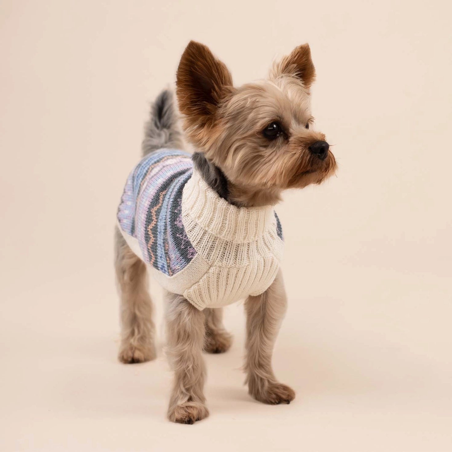 Pull pour chien en alpaga Cloudform