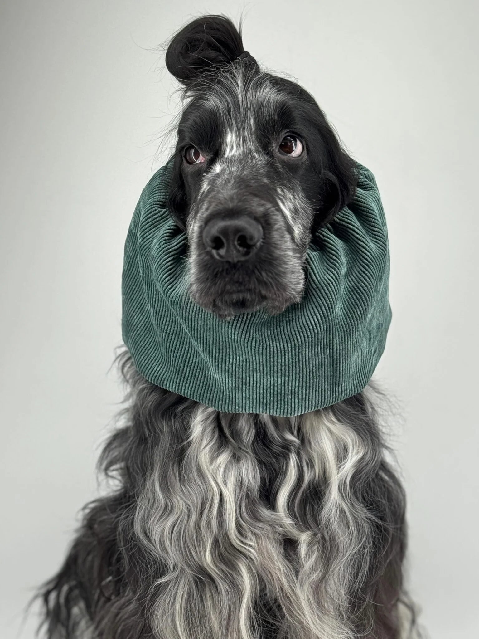 Snood velours côtelé vert sapin