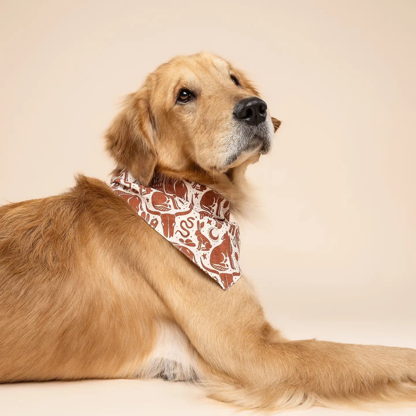 Bandana motif far west